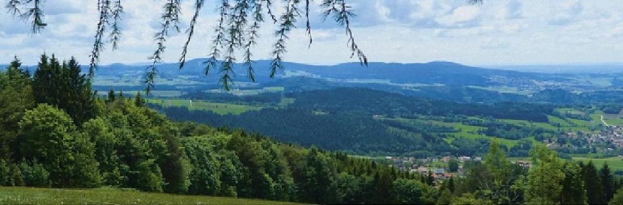 Traumblick Bayerischer Wald, Pool & Sauna, Getraenke, Klimaanlage Freyung Εξωτερικό φωτογραφία