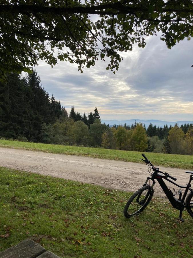 Traumblick Bayerischer Wald, Pool & Sauna, Getraenke, Klimaanlage Freyung Εξωτερικό φωτογραφία